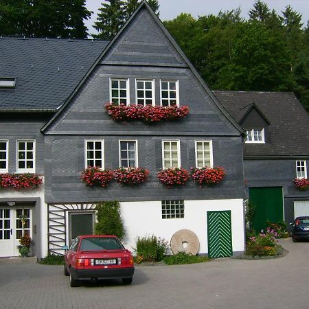 Ferienwohnung Zur Muhle Olsberg Exteriör bild