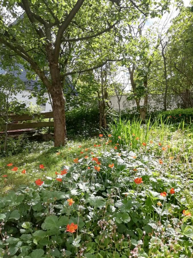 Ferienwohnung Zur Muhle Olsberg Exteriör bild